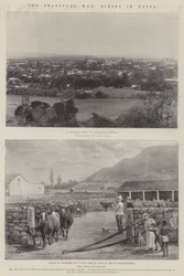 The Transvaal War, Scenes in Natal